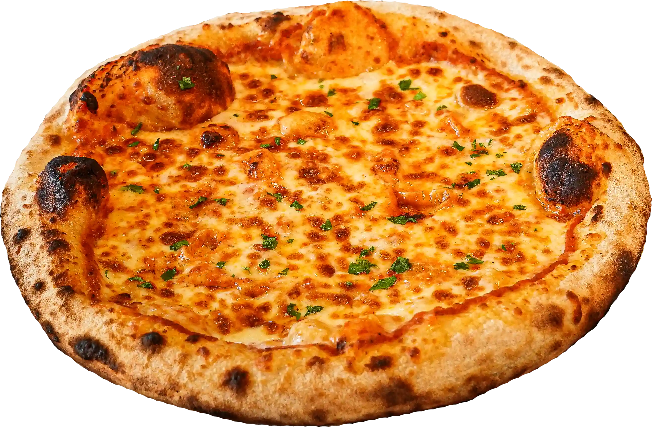 Cheese pizza