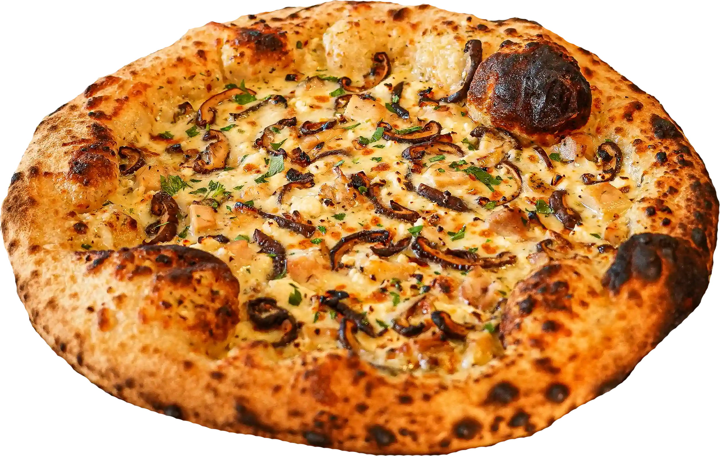 CHICKEN & MUSHROOM pizza - White sauce, mozzarella, roasted chicken, shiitake mushrooms, roasted garlic, and feta.