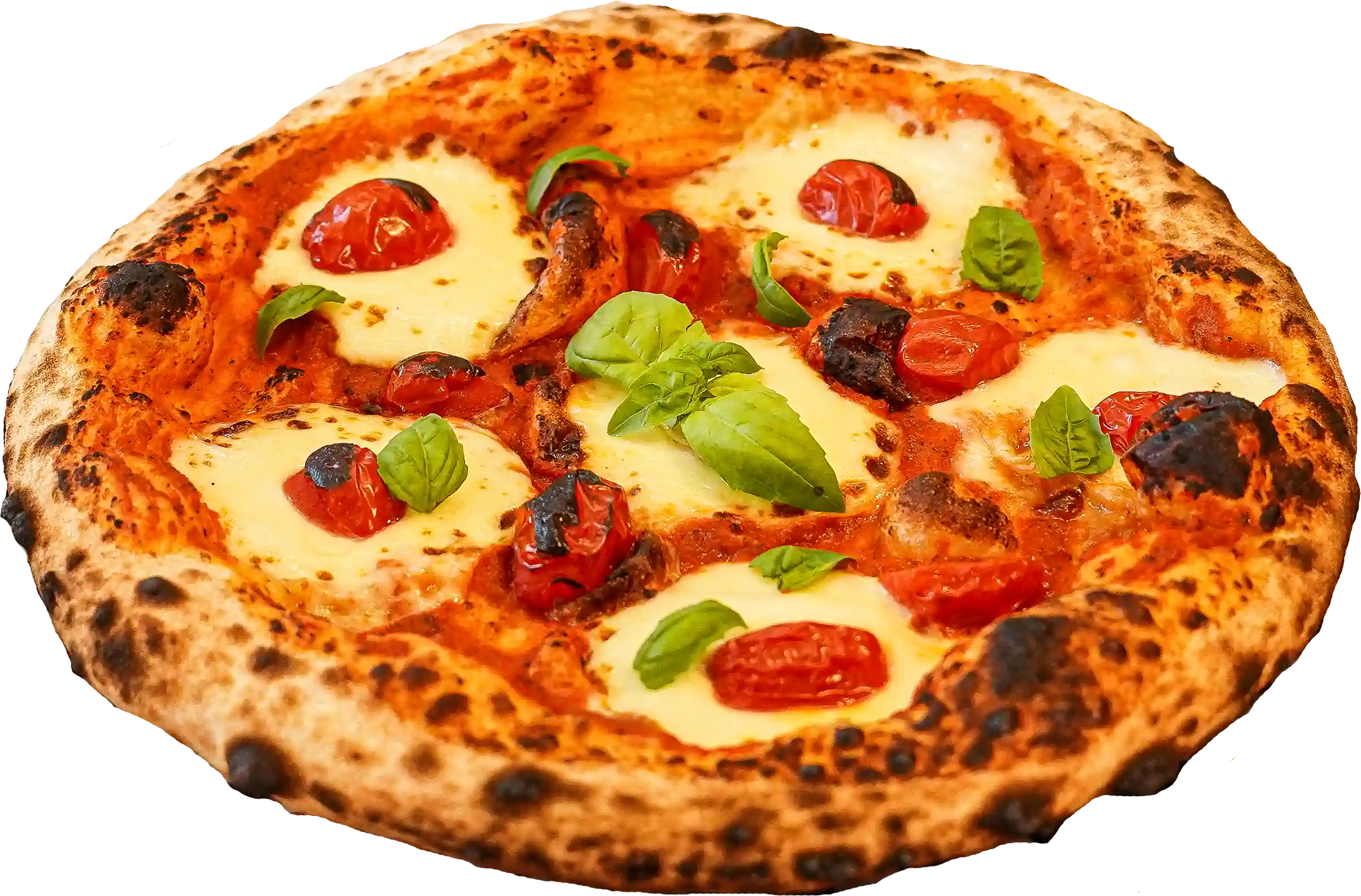 MARGHERITA pizza - Red sauce, fresh mozzarella, tomato slices, and fresh-picked basil.